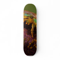 Sweat Bee At The Del Mar Fairgrounds skateboards