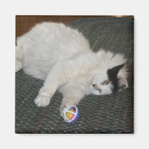 Sweat Pea Magnet