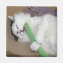 Sweat Pea Refrigerator Magnet