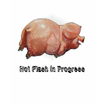 "Sweating" Piggy: Hot Flash In Progress: Menopause Tshirts