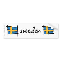 Sweden Brush Flag Bumper Sticker