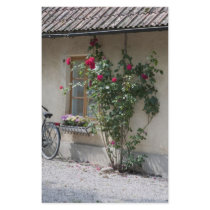 Swedish Country side Stationery Design