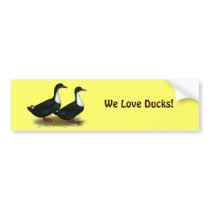 Swedish Ducks Black Bumper Stickers