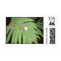 Swedish Snail postage by JBertrand Swedish Snail postage