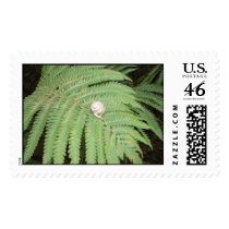 Swedish Snail postage