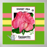 Sweeet Pea Flower Poster posters