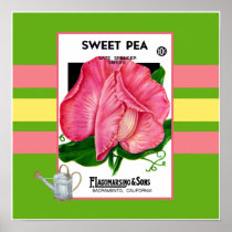 Sweeet Pea Flower Poster