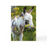 Swee'pea Greeting Cards