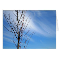 Sweeping The SKy cards