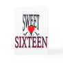Sweet 16 Birthday Gear