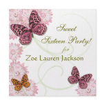butterfly, butterflies, daisy, daisies,
