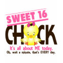 Sweet 16 Chick 3 t-shirts