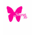 Sweet 16 t-shirts