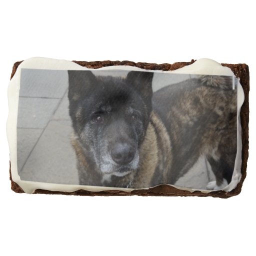 Sweet Akita Dog Rectangular Brownie