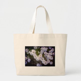 Sweet Alyssum Flowers in Grunge bag