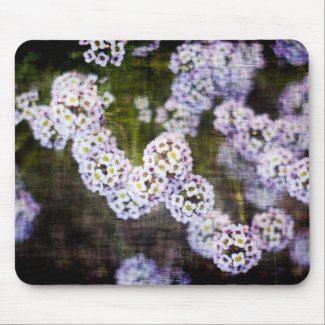 Sweet Alyssum in Grunge Mouse Pads