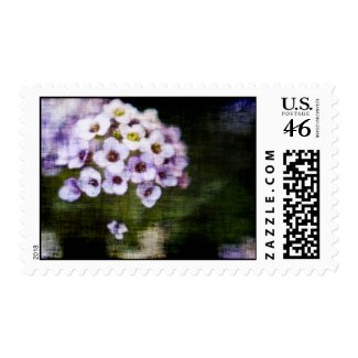 Sweet Alyssum in Grunge Stamp 2 stamp