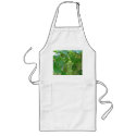 Sweet and Juicy White Seedless Grapes aprons