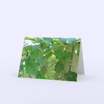 Sweet and Juicy White Seedless Grapes cards
