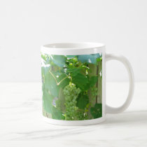 Sweet and Juicy White Seedless Grapes mugs