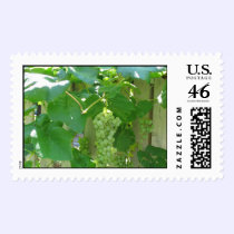 Sweet and Juicy White Seedless Grapes postage