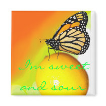 Sweet and Sour Magnet by Katerpillaf Sweet and Sour Magnet