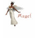 Ladies Petite T-Shirt