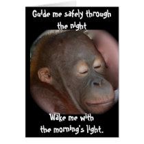 Sweet Animal Baby Prayers cards