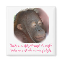 Sweet Animal Baby Prayers magnets by Rebecca_Reeder Sweet Animal Baby Prayers magnets