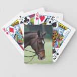 Sweet Arabian Horse Deck of Cards