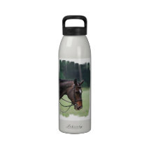 Sweet Arabian Horse Water Bottle