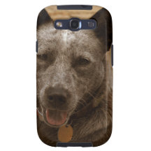 Sweet Australian Cattle Dog Galaxy S3 Case