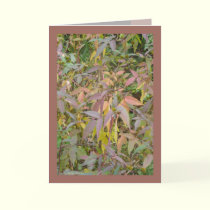 Sweet Autumn cards by MoiraAshleigh Sweet Autumn cards