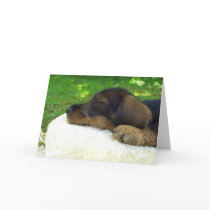Sweet Baby cards