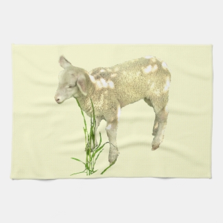Sweet Baby Lamb on Yellow Kitchen Towel