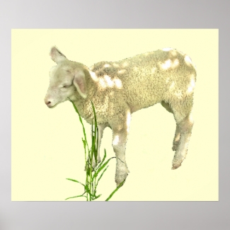 Sweet Baby Lamb on Yellow Poster