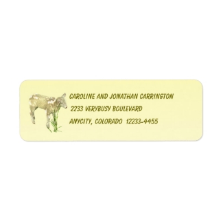 Sweet Baby Lamb on Yellow Return Address Label