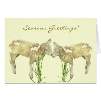Sweet Baby Lambs on Yellow Seasons Greetings Card