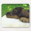 Sweet Baby mousepad