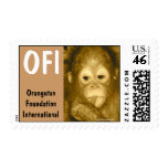 Sweet Baby Orangutan Foundation International Stamps