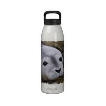 Sweet Baby Seal Water Bottle