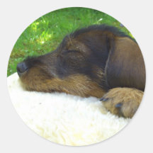 Sweet Baby Sticker
