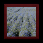 Sweet Basil Gift Box gift boxes