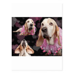 Sweet Basset Valentine Post Cards