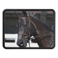 Sweet Bay Horse Trailer Hitch Cover