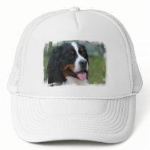 Sweet Bernese Baseball Hat