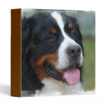 Sweet Bernese Binder binders
