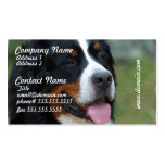 Sweet Bernese Business Cards
