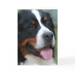 Sweet Bernese Greeting Card