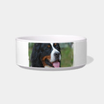 Sweet Bernese Pet Bowl Cat Bowls